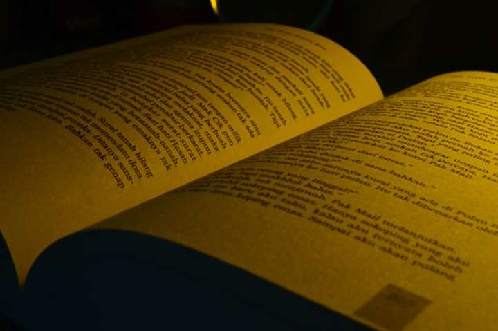 Nobelprisen i litteratur