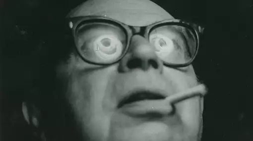 Litteraturen mellem krigene