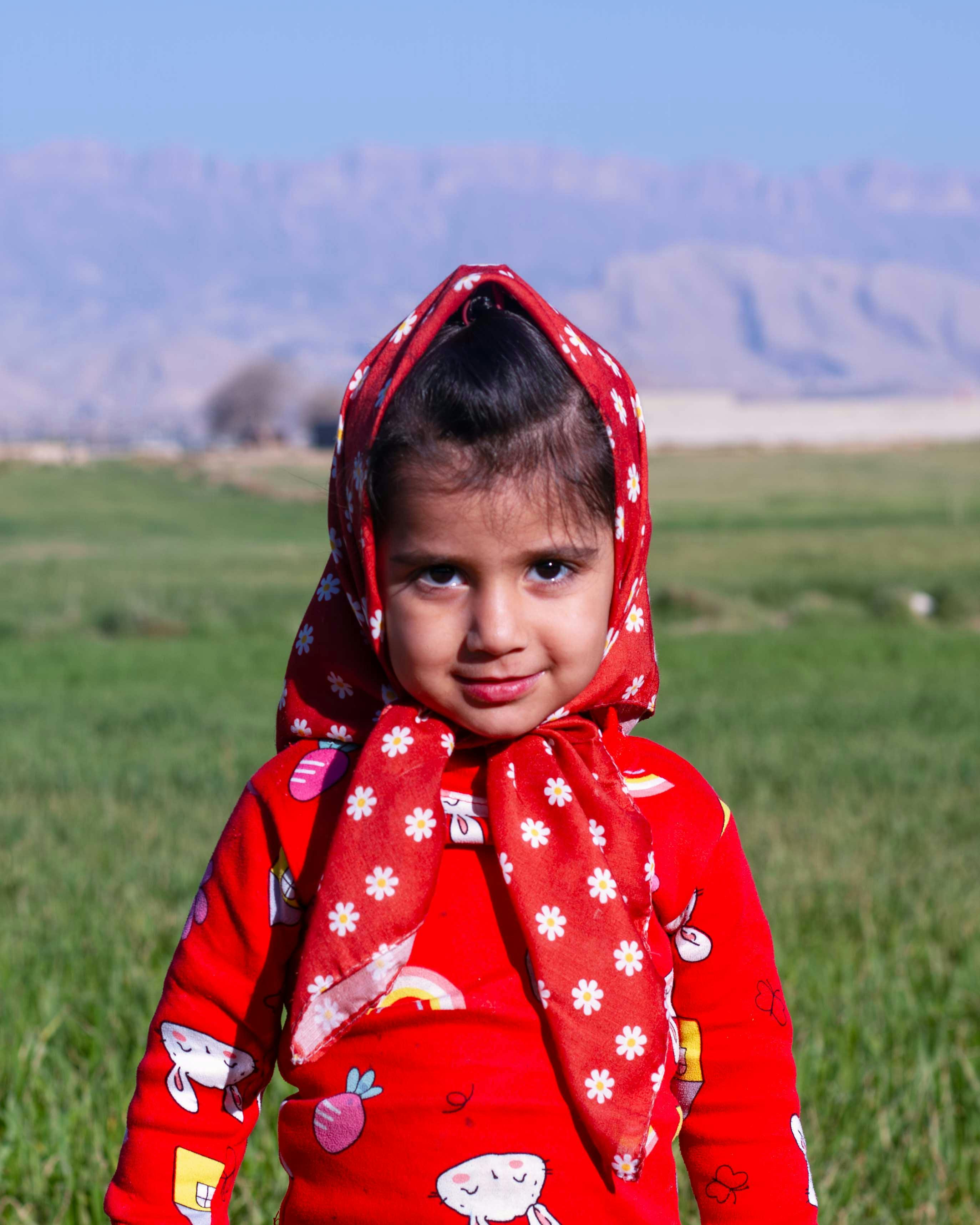 Viden til tiden: Våbenhvile med Iran - hvad nu?