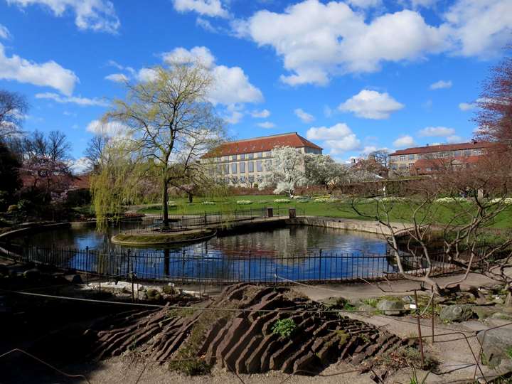 Rundvisning i Landbohøjskolens Have (A)