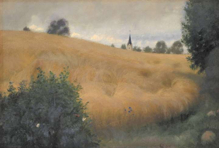 Fynboerne