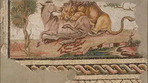 Nordafrika fra Karthago til Kalifatet