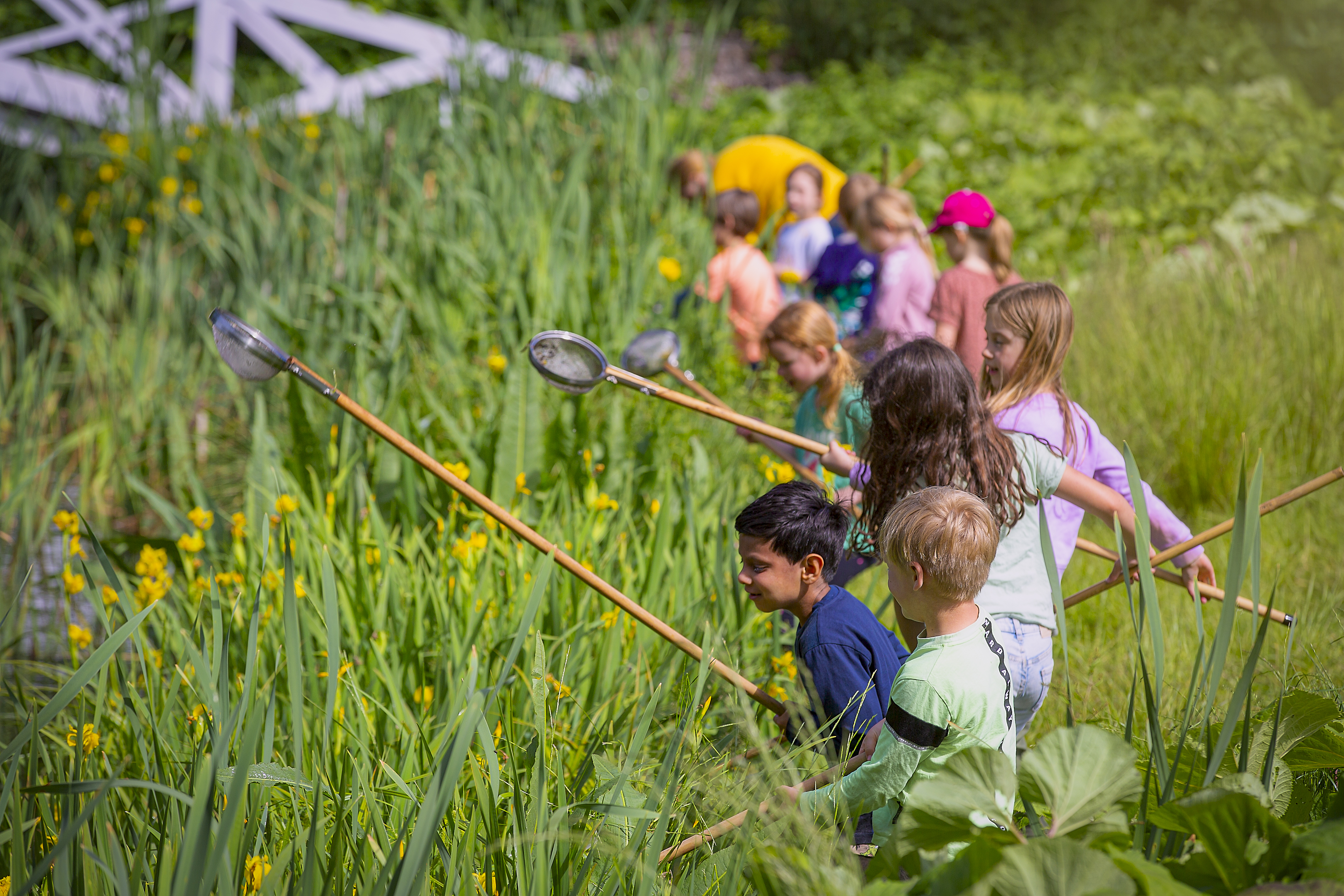 Videnskab for børn og voksne: Vandhullets hemmelige liv