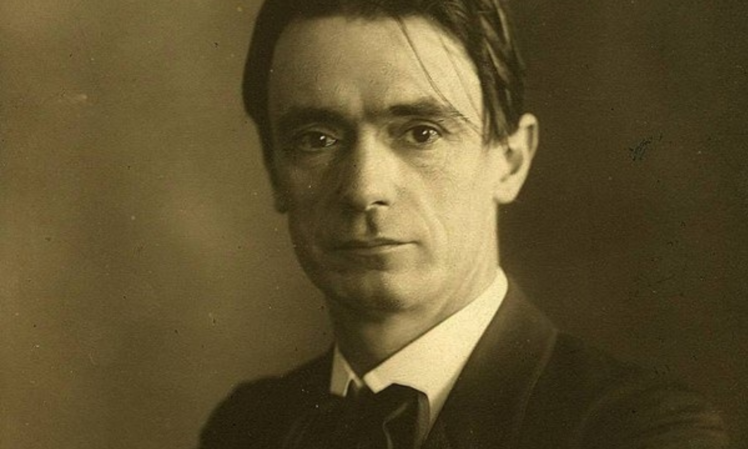 Rudolf Steiners projekter