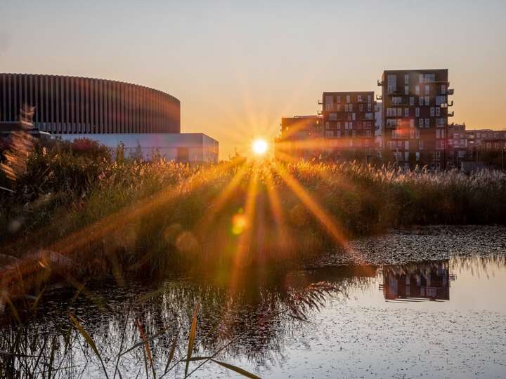 Fem byvandringer i Københavns nybyggerkvarterer