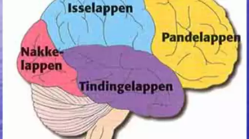 Tre perspektiver fra psykologien