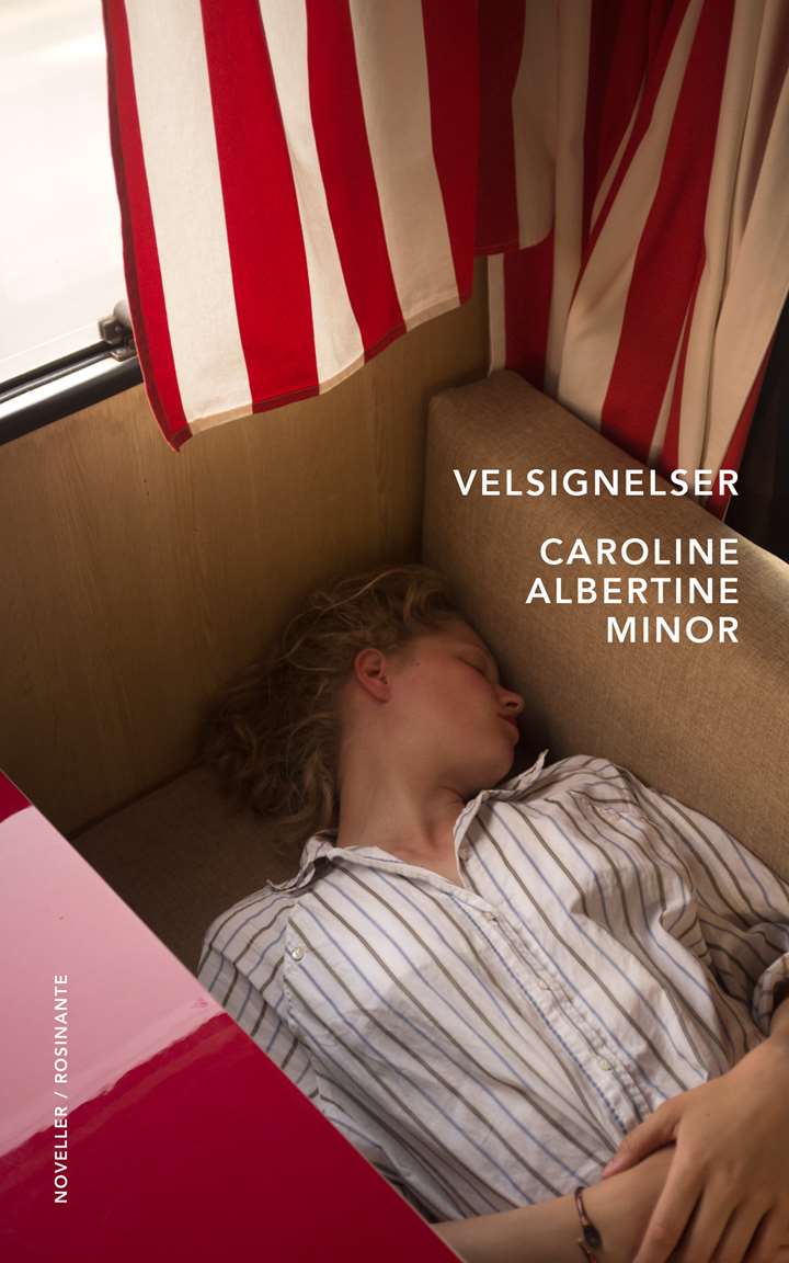 Kriser og kvaler i litteraturen