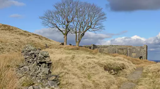 Forelæsning og filmvisning: Emily Brontë og Andrea Arnolds Stormfulde højder