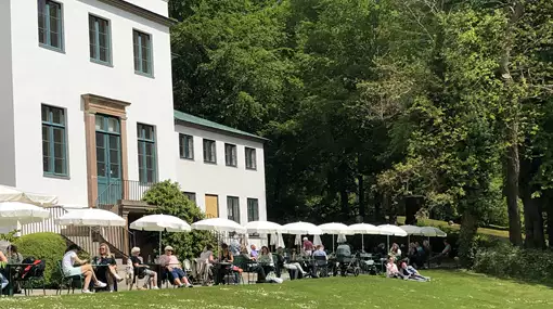 Temadag: Naturens stræben - Livets kunstværk