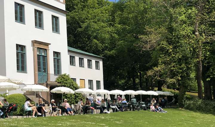 Temadag: Naturens stræben - Livets kunstværk
