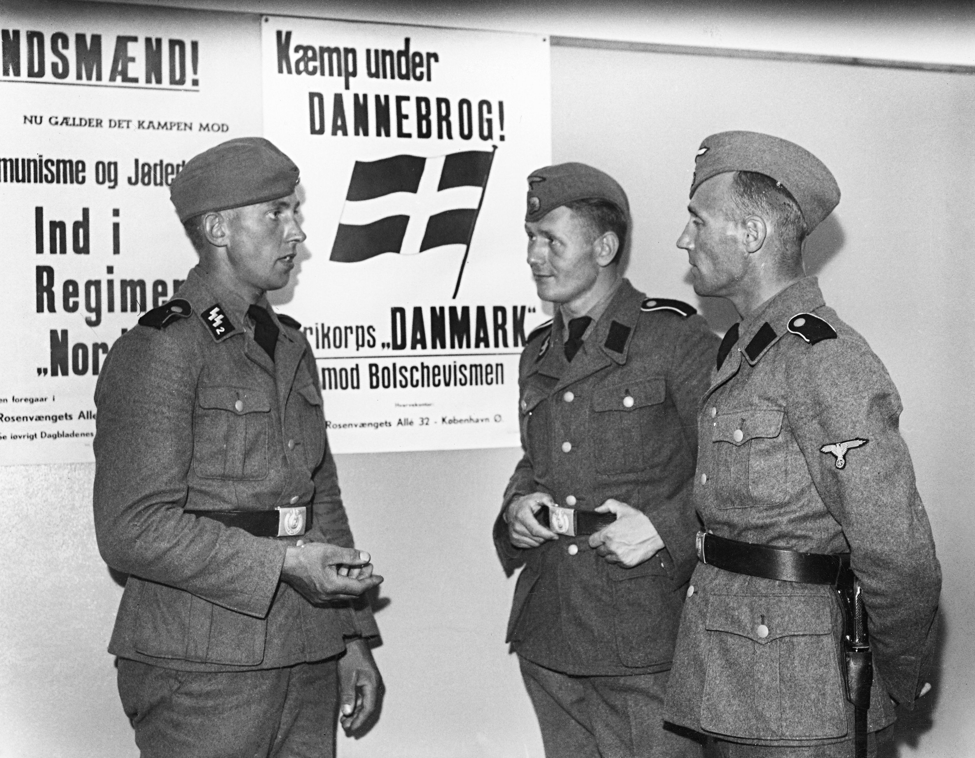 Nazismens danske soldater