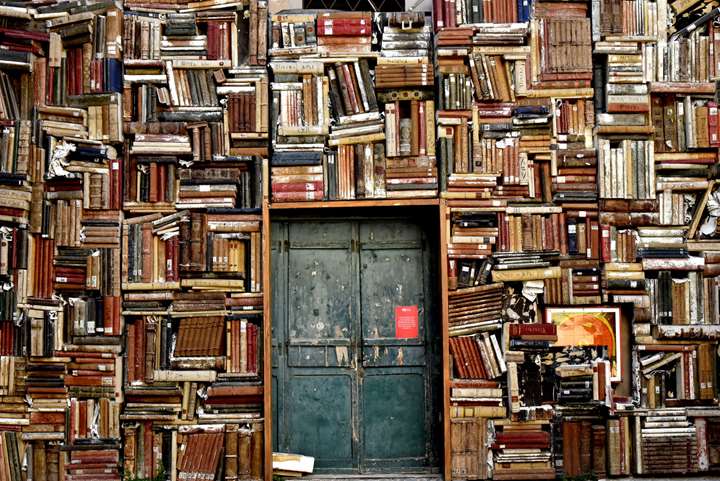 Hvordan får vi mere ud af litteratur? (online)