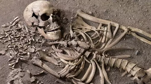 Stenalderjægerne i Vedbæk og Nivå