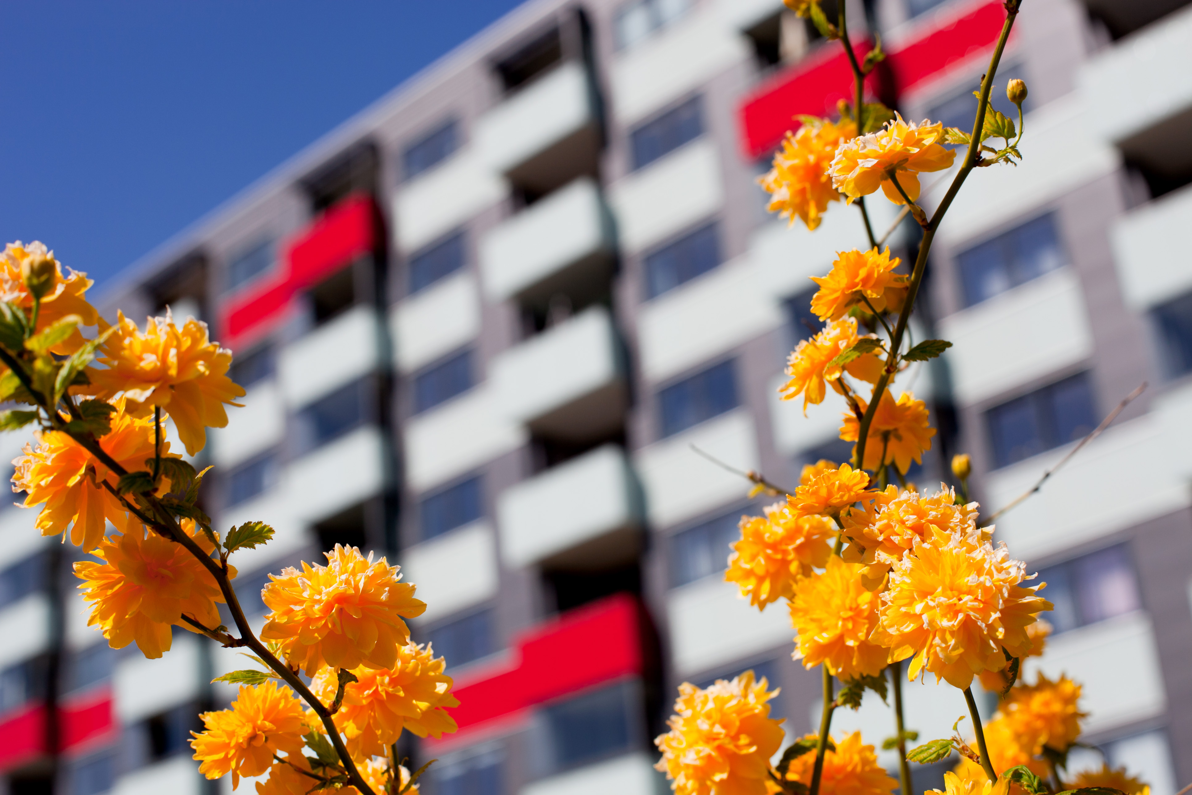 Underklassen slår igen! 