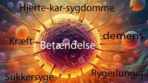 De fem største folkesygdomme