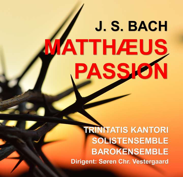 Musik og teologi J.S. Bachs Matthæuspassion