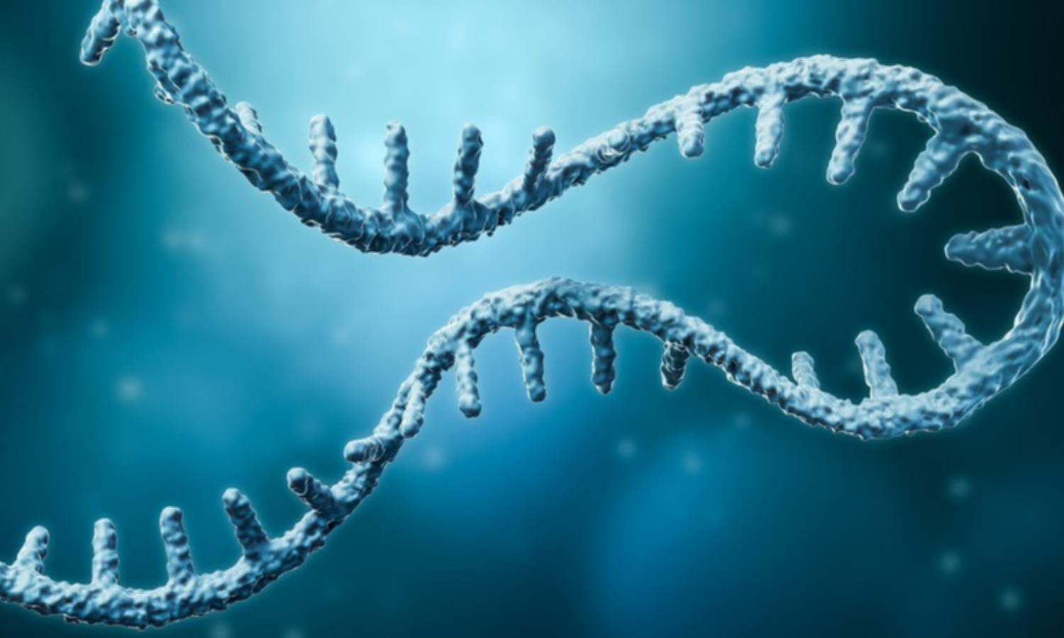 RNA - fra livets begyndelse til regulering af vores stofskifte