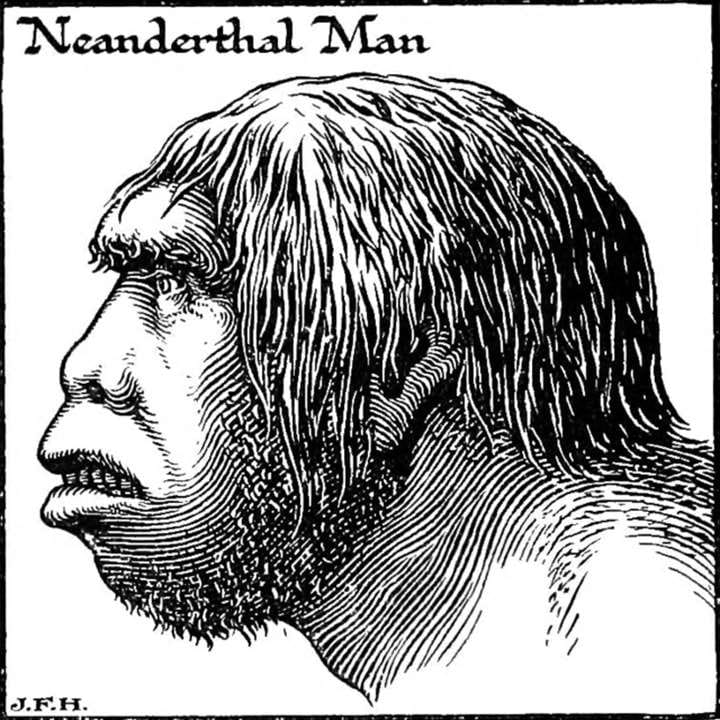 Menneskets oprindelse og tidlige evolution