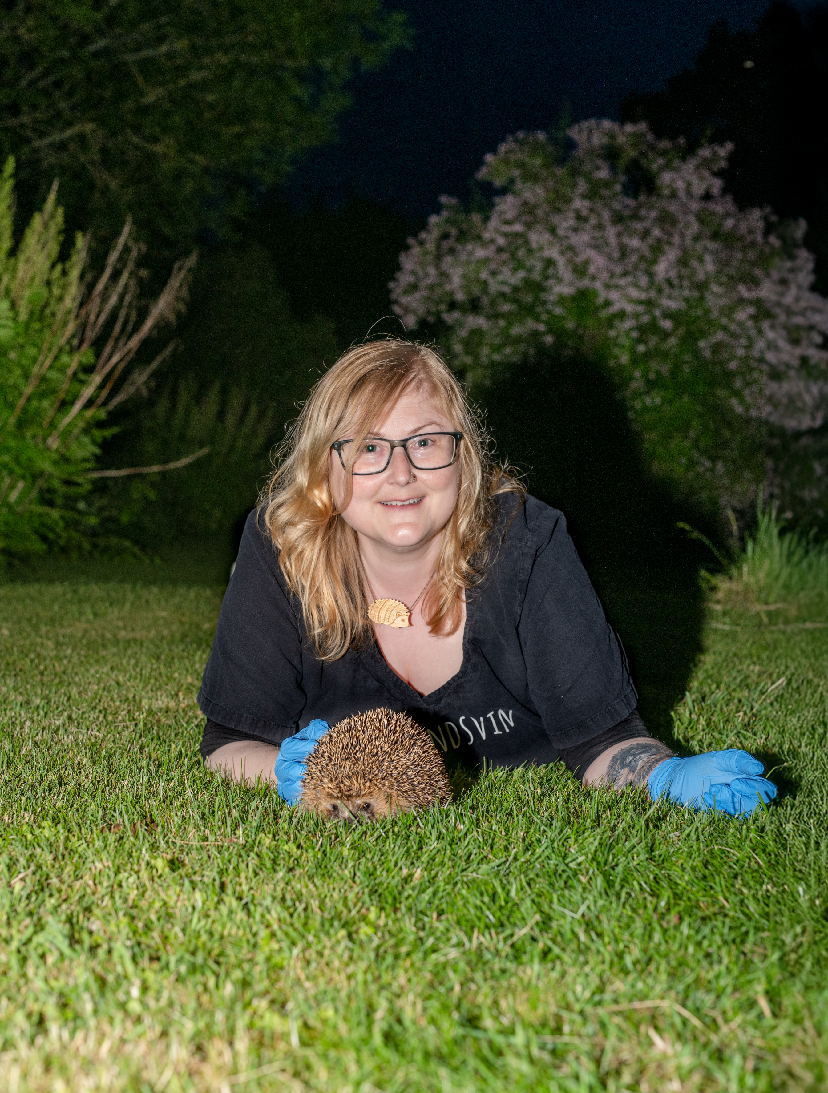 Bliv klogere på Danmarks pindsvin