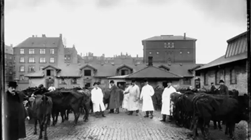 Byvandring: Kødbyen