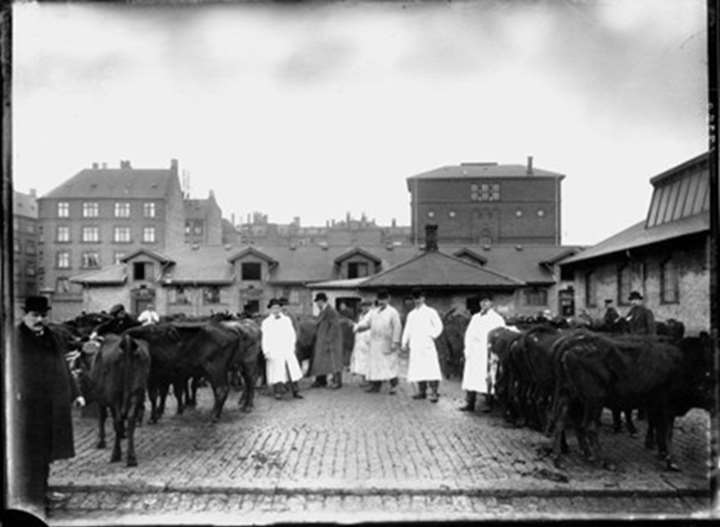 Byvandring: Kødbyen