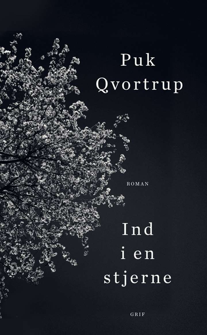 Forfatteren og redaktøren