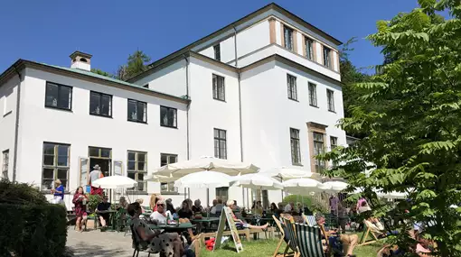 Temadag: Med venner i lys vi tale (B)