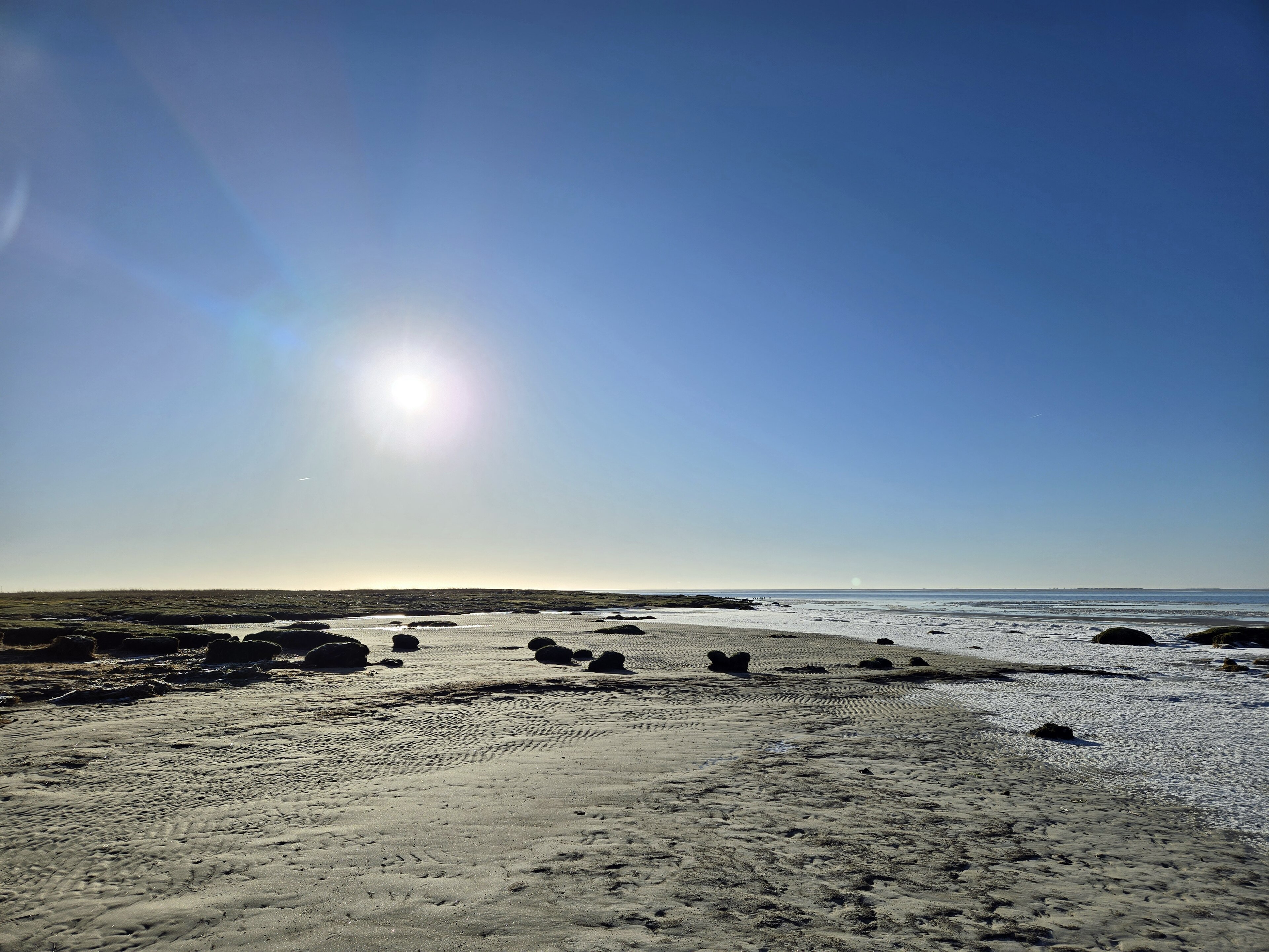 Vadehavet: Verdensnatur i forandring i Danmarks største nationalpark (B)