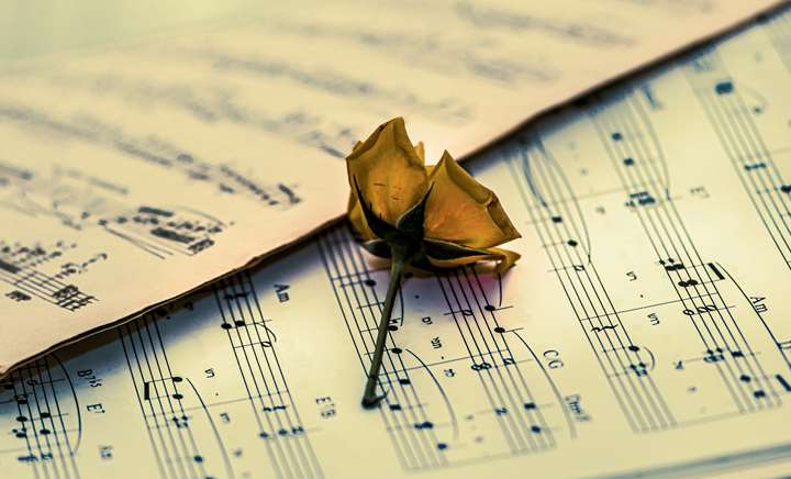 Forstå musikken! - Et grundlæggende kursus i musikteori og musikanalyse