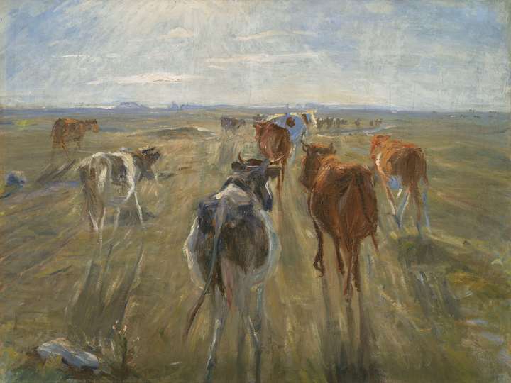 DRAGØR - Saltholm i kunsten