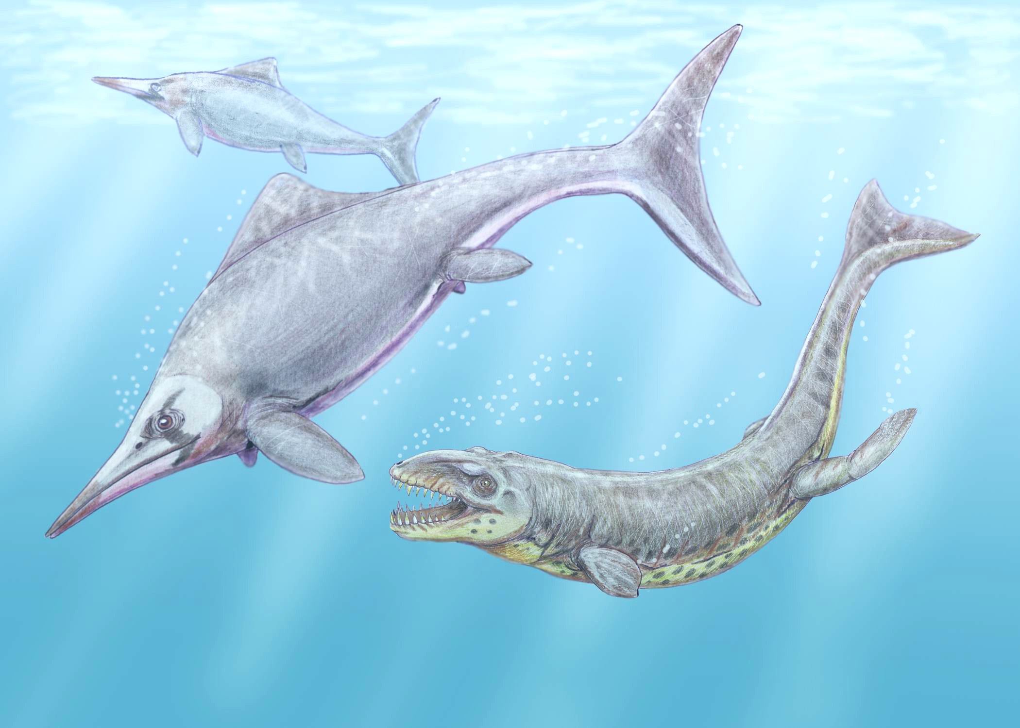 Landdyr, der vendte tilbage til havet