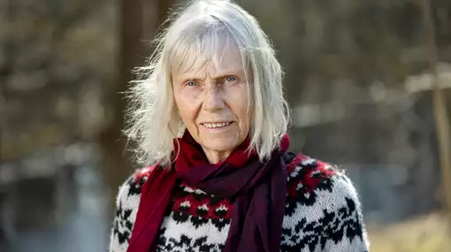 Samfundsmæssige omkostninger ved stormfloder og mulighederne for klimatilpasning