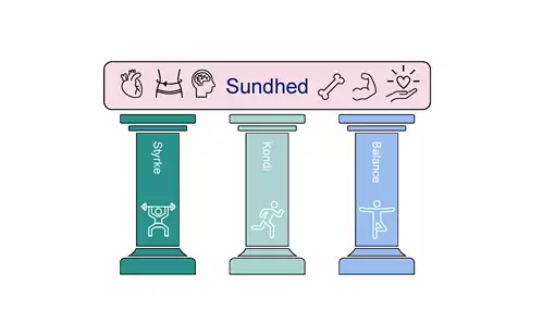 Den korteste vej til et langt, sundt liv