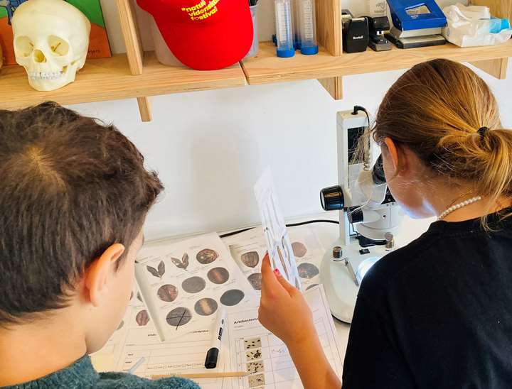 Arkæologi for børn - bliv laboratoriearkæolog!