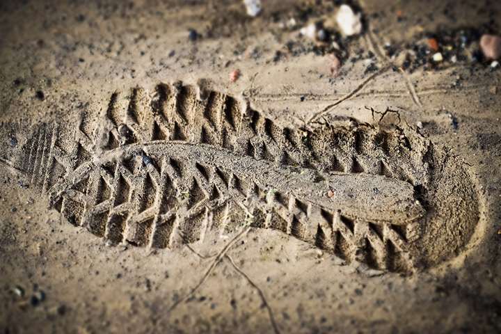 40.000 års europæisk historie skrevet i fossilt DNA (online)